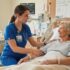 Who Is Responsible for Patient Care Under the Primary Nursing Model?